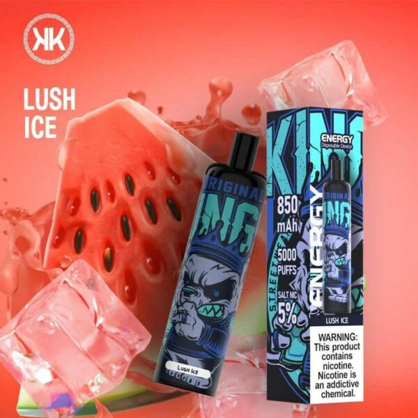 lush ice by kk energy 5000 puffs 5% (rechargeable)
