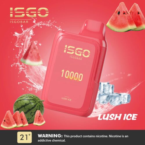ISGO BAR 10000 Puffs DISPOSABLE VAPE LUCH ICE