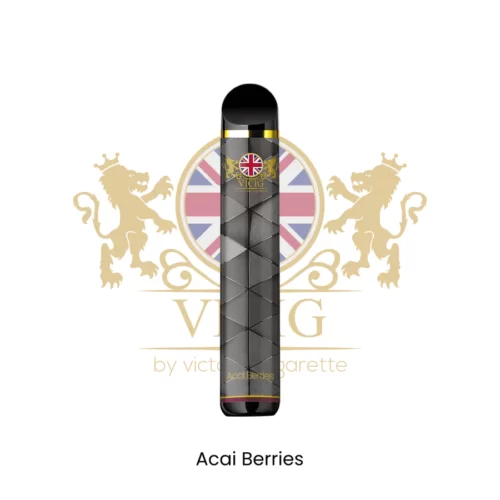 VICIG - Disposable Pod Device Ice Acai Berry (20MG - 1500 Puffs)