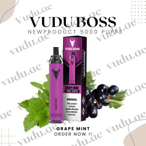 VUDU-FILTER-DISPOSABLE-Grape -Mint-5000-PUFFS-50MG
