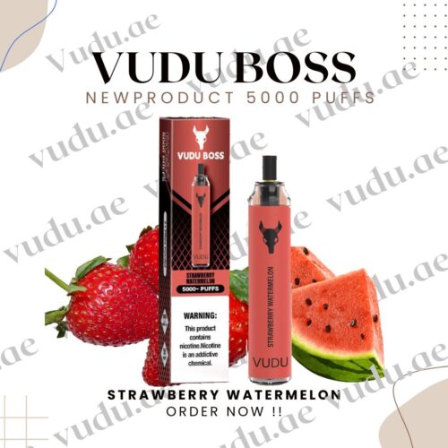 VUDU-FILTER-DISPOSABLE- StrawberrY-Watermelon-5000-PUFFS-50MG