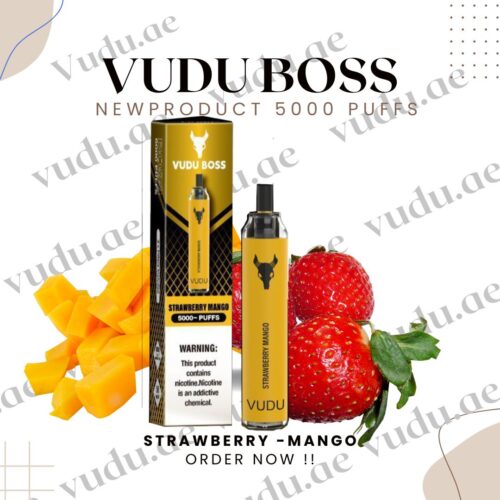VUDU-FILTER-DISPOSABLE-Strawberry -Mango-5000-PUFFS-50MG