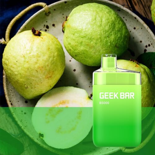 Geek Bar B5000 Rechargeable Disposable Guava Ice IN DUBAI 20MG